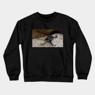 H gentilli Crewneck Sweatshirt